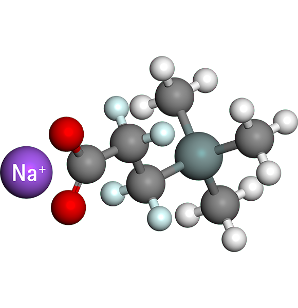 3-(Trimethylsilyl)propionic-2,2,3,3-d4 acid sodium salt